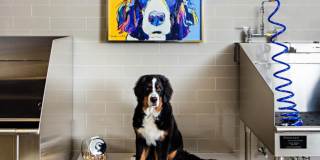 Avalon Wayne Gallery 23