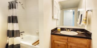 TGM Autumn Woods Gallery 10