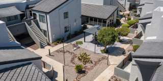 Lion Tempe Gallery 32