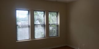 6603 N Campbell Ave Gallery 4