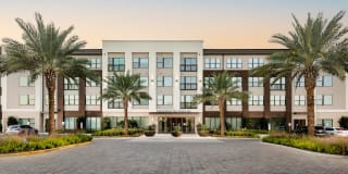 Arcadia Dr. Phillips Arcadia Dr. Phillips Gallery 18