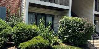 53 Taylor Drive Gallery 1