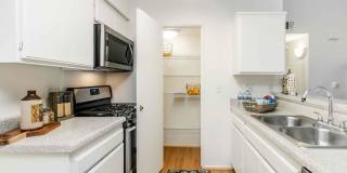 The Terrace Apartments Gallery 88