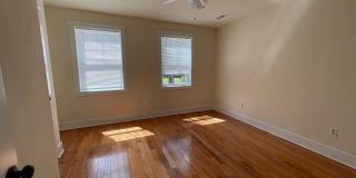 65 Lester Street Gallery 14