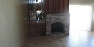 2028 Amy Sue Drive Gallery 4