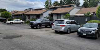 Dove Ridge Gallery 17