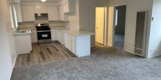 Cordary III Gallery 1