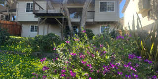 Charming New Monterey Home with Bay Views with all utilities included Gallery 20