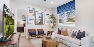 Yardly Bellalago Gallery 15