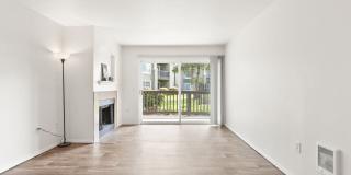 Jackson School Village Gallery 11