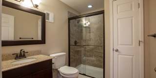 5 Bedroom Home in Windsor Colorado Gallery 29
