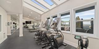 Arrive Magnolia Gallery 50