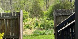 516 MEADOW HALL Drive Gallery 41