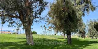 269 Vista Royale Cir W Gallery 54