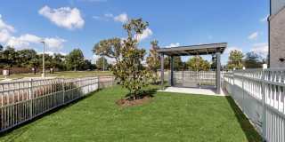 Vera Cedar Park Gallery 40