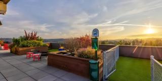 Ballard Public Gallery 19