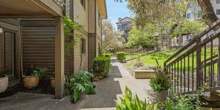 Larkspur Courts Gallery 21