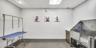 Haven at the Gulch Gallery 71