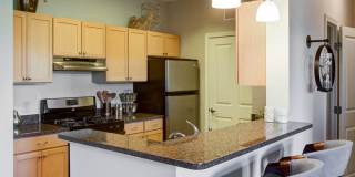 Lynnfield Commons Gallery 19