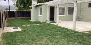 North West Pet Friendly Home Gallery 19
