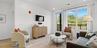 The Galaxy at Polaris Gallery 18