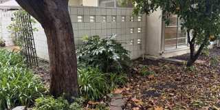 403 Avenida Castilla Gallery 1