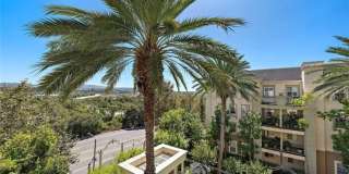 2446 Watermarke Gallery 1