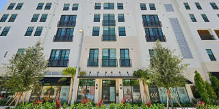 Vine on Clematis Vine on Clematis Gallery 1