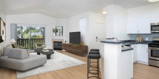 Skyview Gallery 15