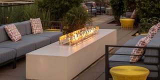 Insignia On M Gallery 17