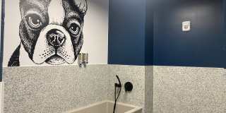 202 Queen Gallery 24