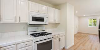 Newly renovated downstairs 1 bedroom 1 bath. Gallery 11