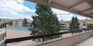 6550 Delmonico Drive Gallery 23