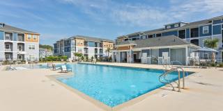 Hawthorne at Pine Forest Gallery 2