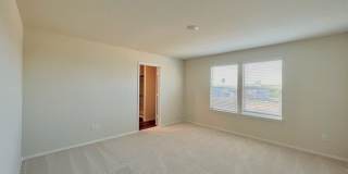6234 FIELDRUN Gallery 13