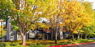 Inlet View Apartments Gallery 56