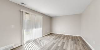 Aspen Flatz Gallery 3