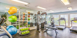 Northcliffe Forest Apartments Gallery 19
