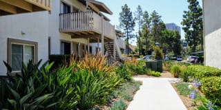 La Jolla Canyon Gallery 7