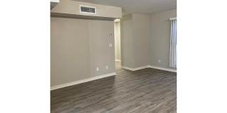 Bellevue Towers Gallery 107