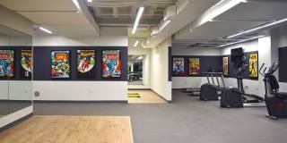 International Gallery 14