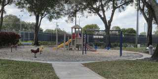 7311 73rd Way Gallery 34