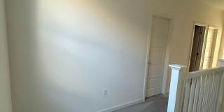 PET FRIENDLY Gallery 26