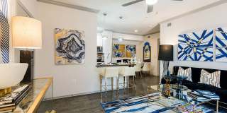 Oak Row North Dallas Gallery 4