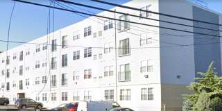 229-239 Hope Avenue, 203 Gallery 1
