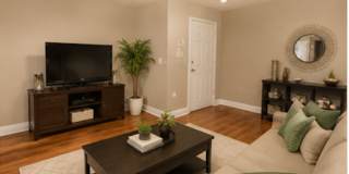 1/1 Lakefront Living in Carrollwood! Available July 10th! Gallery 10