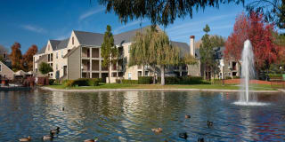 Riva Terra Apartments at Redwood Shores Gallery 69