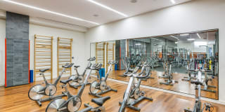 The Aldyn The Aldyn Gallery 41