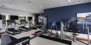 49Hundred Gallery 27