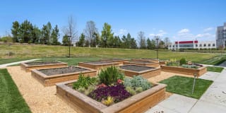 The Court at Redstone Gallery 44